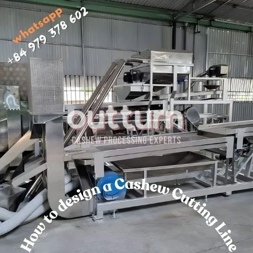 Cashew processing line with cutting machines and trays of kernels, illustrating an ROI calculation for a cutting-line investment