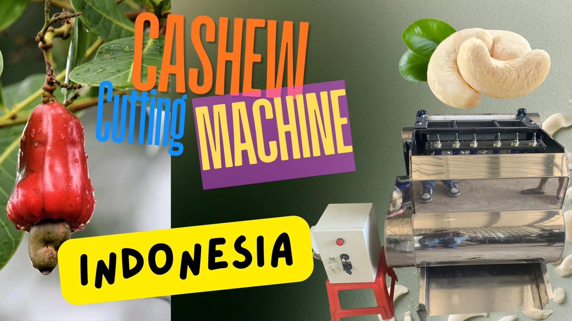 Raw cashew nuts from an Indonesian growing region ready for processing