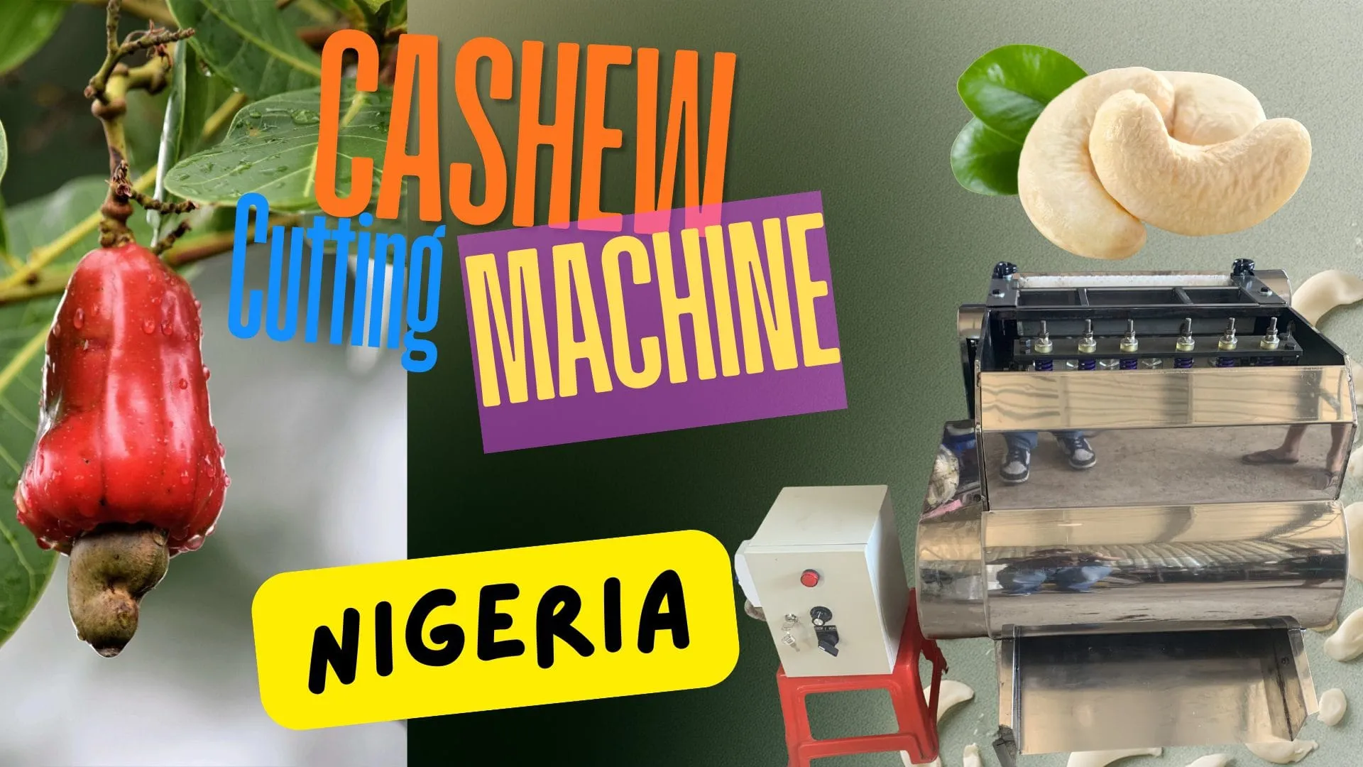 Raw cashew nuts from a Nigerian farm ready for processing, next to an OUTTURN cutting machine