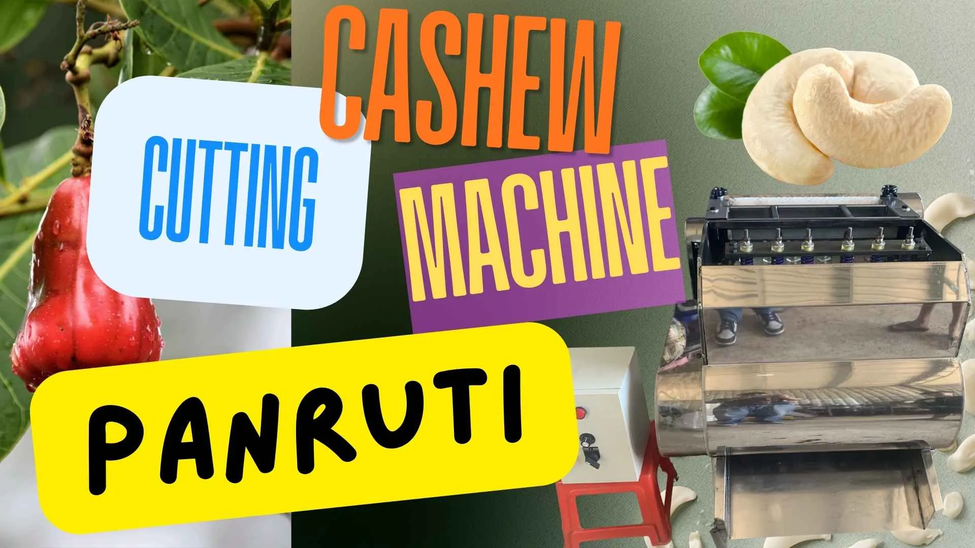 Cashew processing unit in Panruti, Cuddalore district, Tamil Nadu